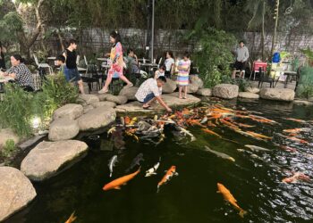 Quán cà phê cá KOI Gonsake